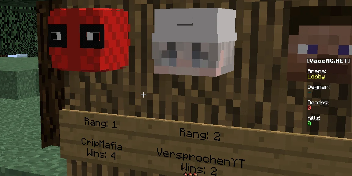 1vs1 Image 4